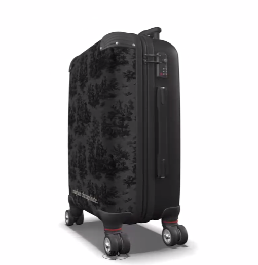 The 'Let's Go Toile' Suitcase by Mayfair Cheapskate